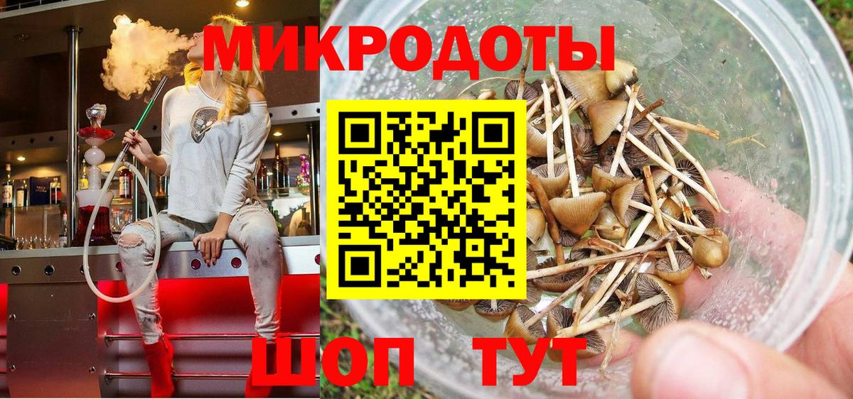 где купить наркотик  Вход с VPN  Клин  Галлюциногенные грибы MAGIC MUSHROOMS 
